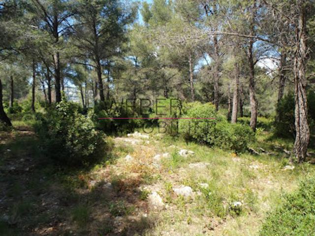 Terrain vente à France métropolitaine, Ollioules