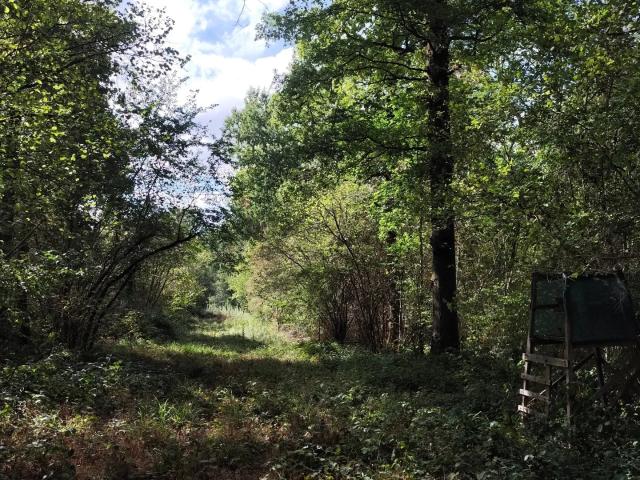 Terrain vente à Rozay-en-Brie, Seine-et-Marne