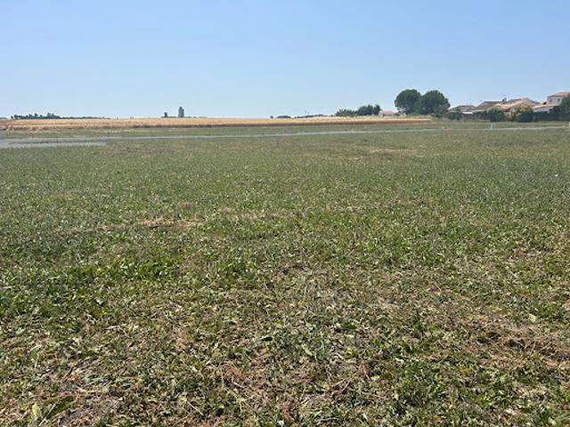 Terrain vente à Rochefort, Mornac-sur-seudre