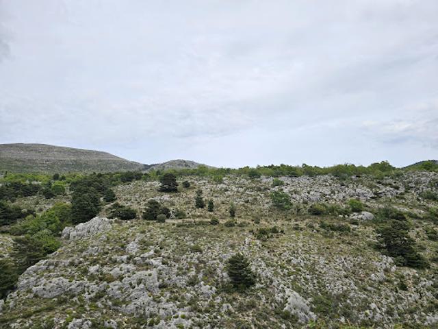 Terrain vente à Grasse, Saint-vallier-de-thiey