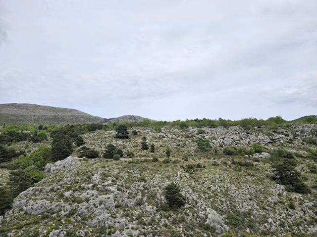 Terrain vente à Grasse, Saint-vallier-de-thiey