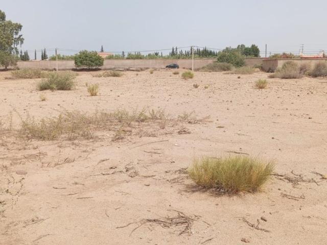 Terrain vente à Al Haouz, L'Oriental