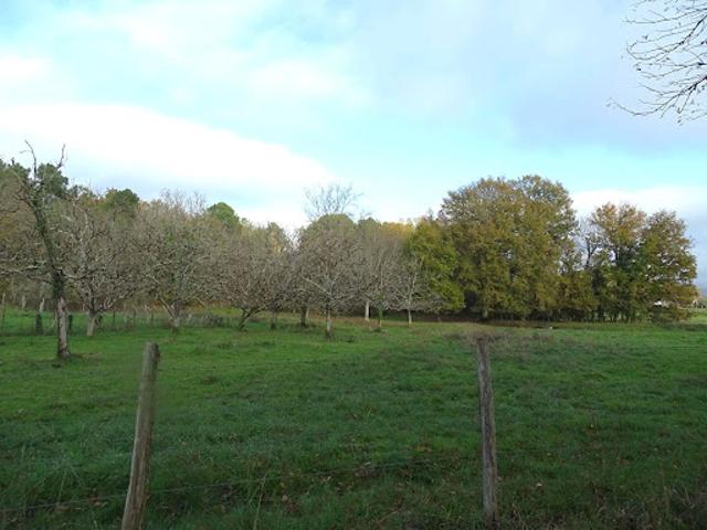 Terrain vente à Périgueux, Douzillac