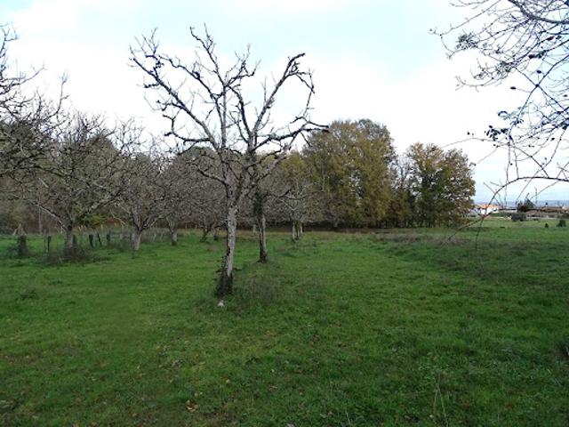 Terrain vente à Périgueux, Douzillac