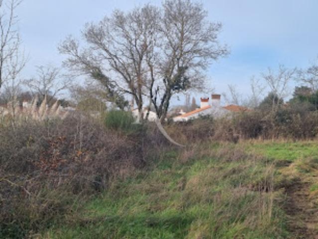 Terrain vente à Les Sables-d'Olonne, Le Fenouiller