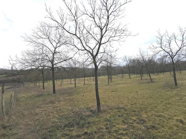 Terrain vente à Vichy, Saint-germain-des-fossés