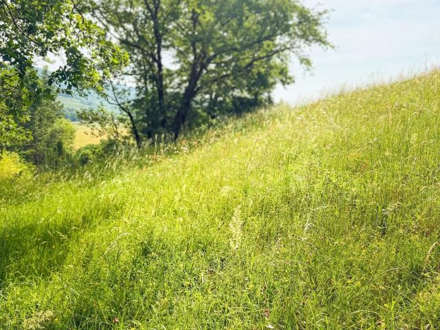 Terrain vente à Rodez, Noailhac