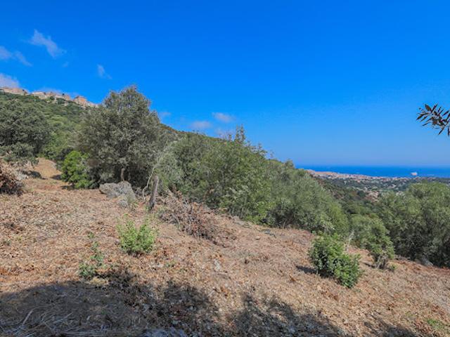 Terrain vente à Calvi, Santa-reparata-di-balagna