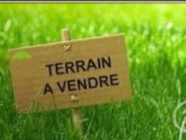 Terrain vente à Blois, Talcy