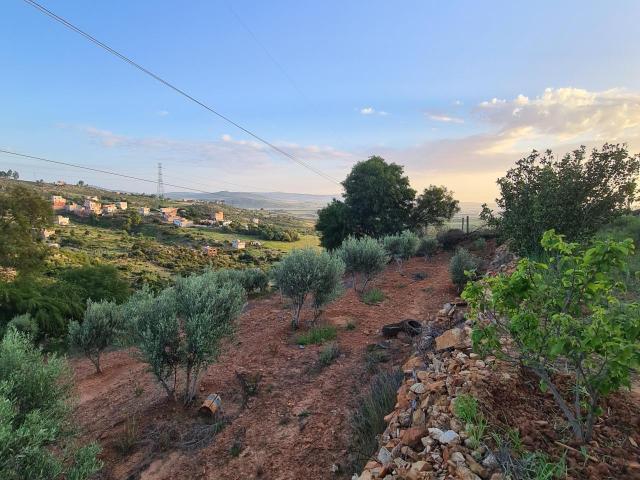 Terrain vente à Tanger, Tanger-Tétouan