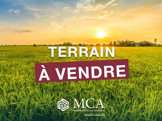 Terrain vente à Hourtin, Cante-Alaude Terrain vente à Hourtin, Cante-Alaude
