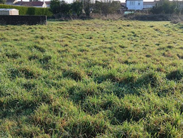 Terrain vente à France métropolitaine, Les Landes-genusson