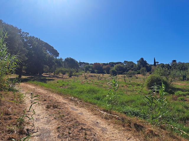 Terrain vente à Arrondissement de Draguignan, Fréjus