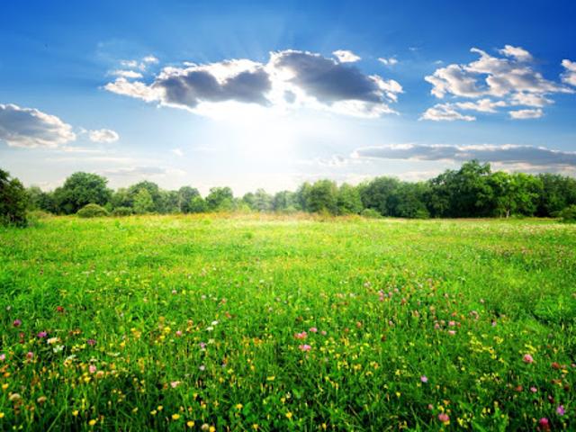 Terrain vente à Saintes, Semussac