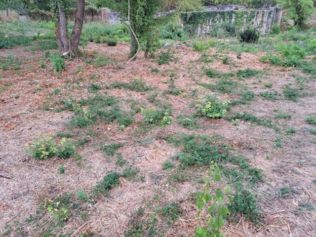 Terrain vente à France métropolitaine, Fuveau