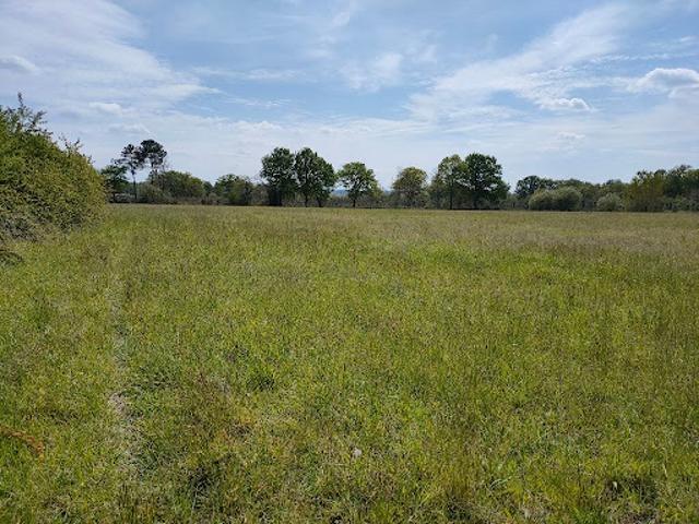 Terrain vente à Bas-mauco, Landes