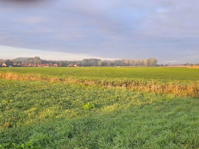 Terrain vente à Steenvoorde, Nord