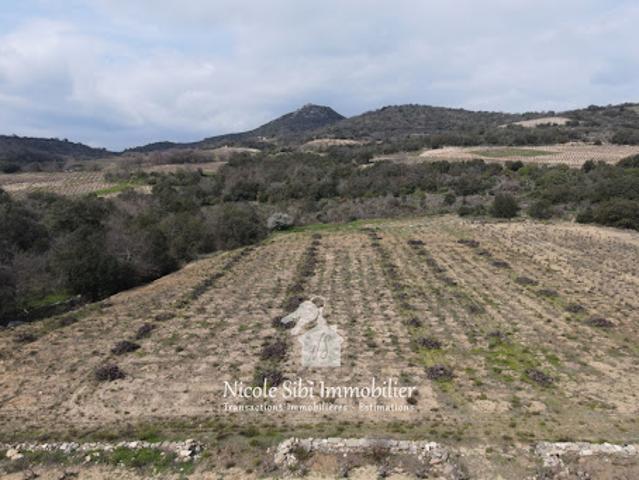 Terrain vente à Prades, Lansac