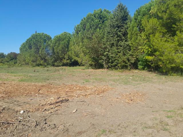 Terrain vente à Morières-lès-Avignon, Vaucluse