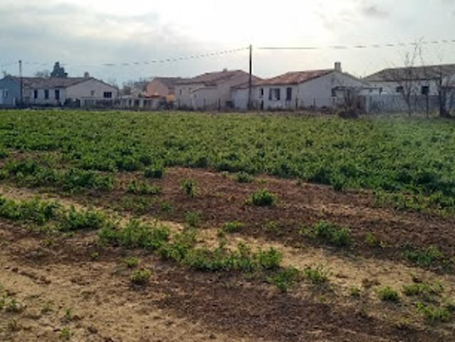 Terrain vente à Narbonne, Canet