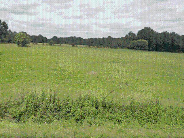 Terrain vente à Châteaubriant-Ancenis, Vigneux-de-bretagne