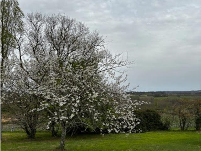 Terrain vente à Sarlat-la-Canéda, Prats-de-carlux