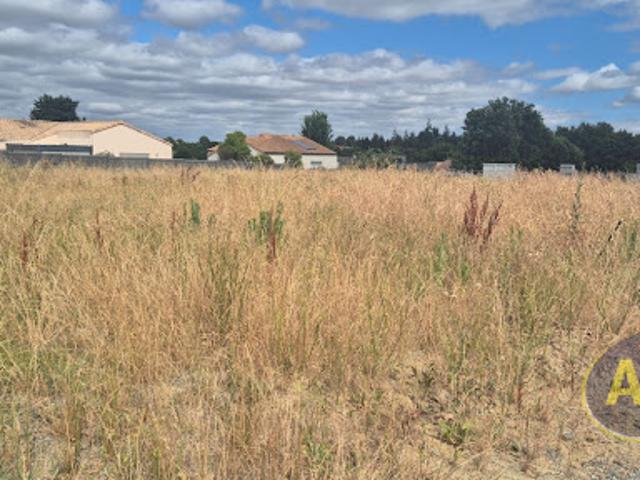 Terrain vente à France métropolitaine, Montaigu