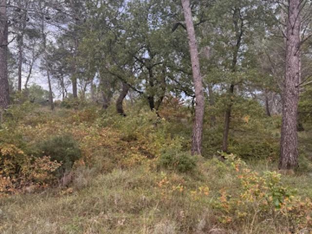 Terrain vente à Aix-en-Provence, Fuveau