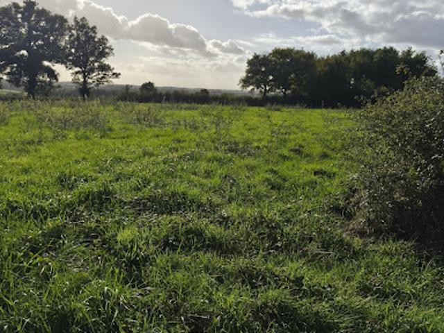 Terrain vente à Châteauroux, Ceaulmont