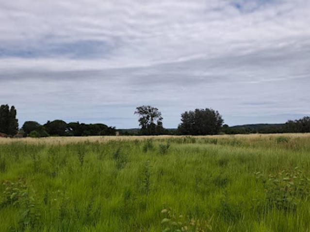 Terrain vente à Coursan, Aude