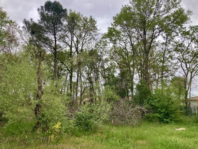 Terrain vente à France métropolitaine, Margaux