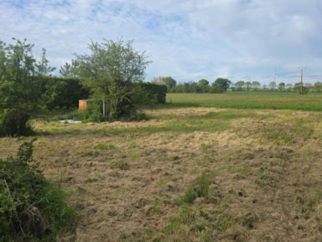 Terrain vente à Saint-Jean-d'Angély, Nachamps