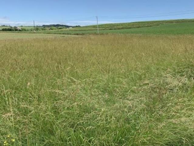 Terrain vente à France métropolitaine, Arc-sur-tille