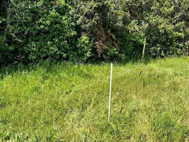 Terrain vente à France métropolitaine, Septèmes-les-vallons