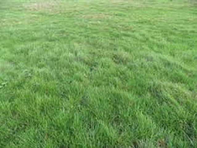 Terrain vente à France métropolitaine, Breuillet