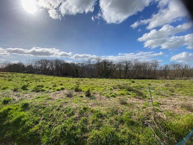 Terrain vente à Momuy, Landes