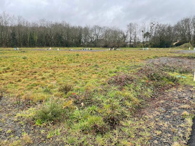 Terrain vente à Nantes, Saint-aignan-grandlieu