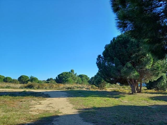 Terrain vente à Céret, Latour-bas-elne