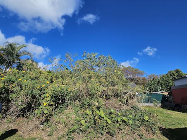 Terrain vente à La Réunion