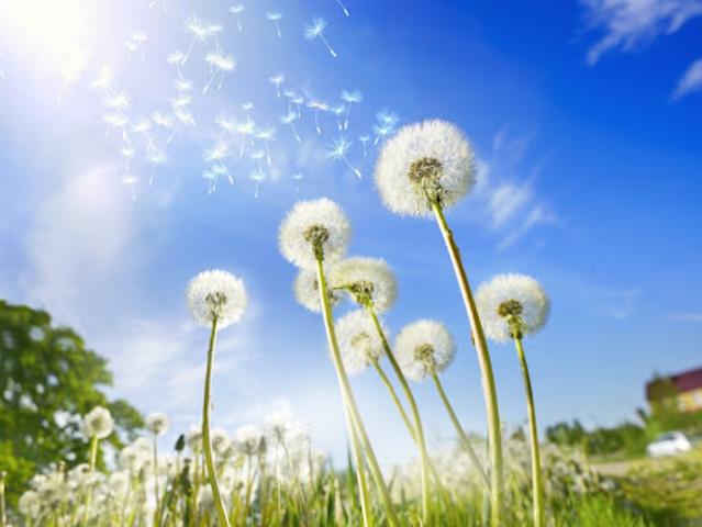Terrain vente à France métropolitaine, Saint-augustin