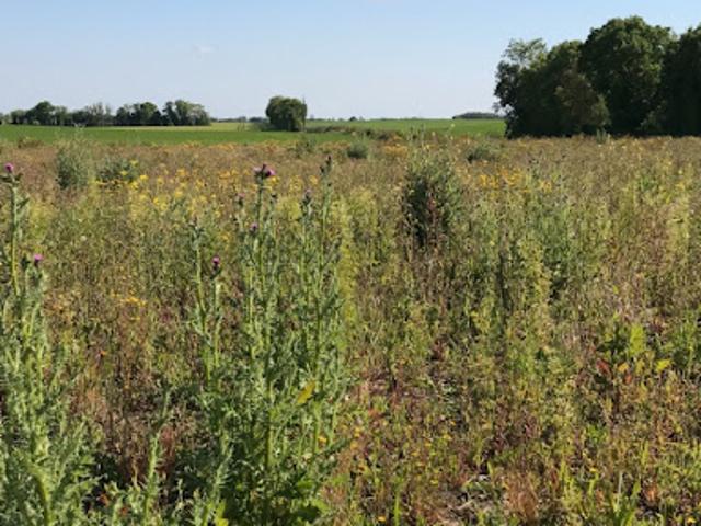 Terrain vente à France métropolitaine, Ballon