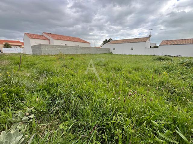 Terrain vente à Les Sables-d'Olonne, Saint-hilaire-de-riez