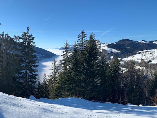 Terrain vente à Cohennoz, Savoie