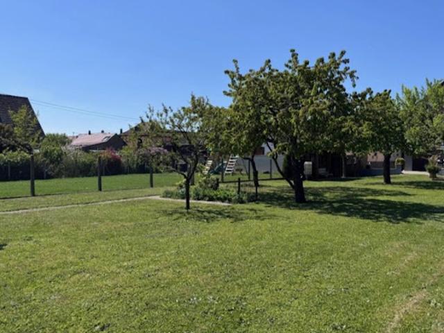 Terrain vente à Strasbourg, Plobsheim