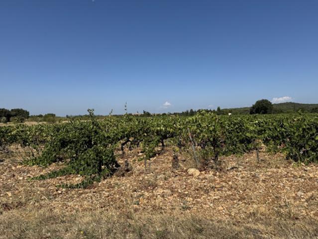 Terrain vente à Carpentras, Sérignan-du-comtat