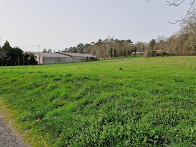 Terrain vente à Boissonnie, Beauronne