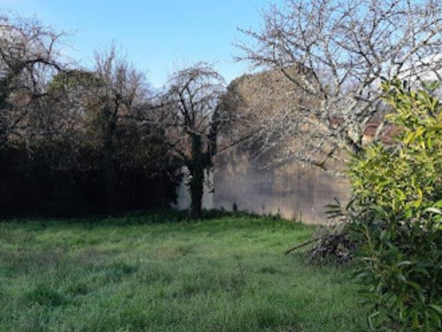 Terrain vente à Cognac