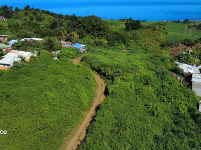 Terrain vente à La Réunion