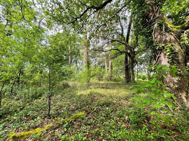 Terrain vente à Dax, Saint-geours-de-maremne