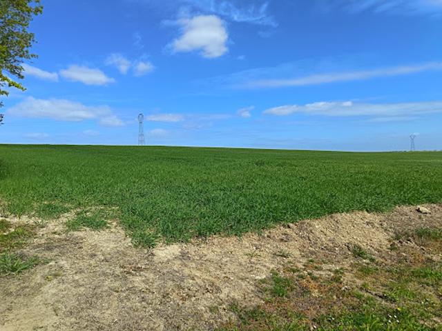 Terrain vente à Rochefort, Ciré-d'aunis
